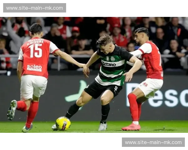 霍芬海姆3-0弗赖堡，主场大胜展现进攻实力